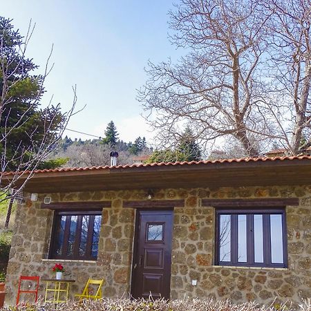 Villa Γήλοφος Ano Trikala Esterno foto