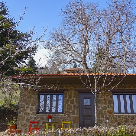 Villa Γήλοφος Ano Trikala Esterno foto