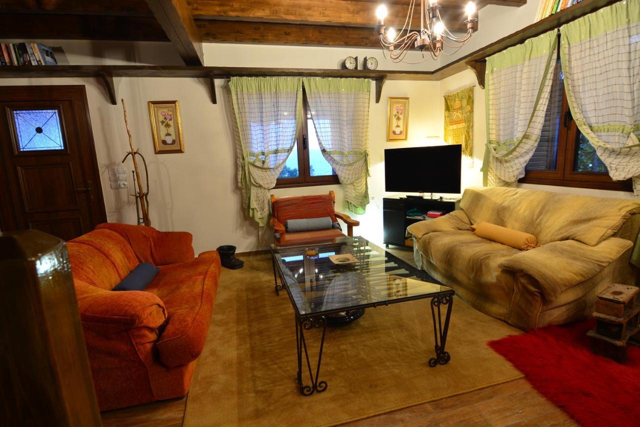 Villa Γήλοφος Ano Trikala Esterno foto